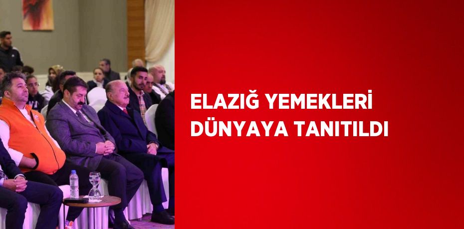 ELAZIĞ YEMEKLERİ DÜNYAYA TANITILDI