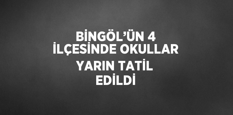 BİNGÖL’ÜN 4 İLÇESİNDE OKULLAR YARIN TATİL EDİLDİ