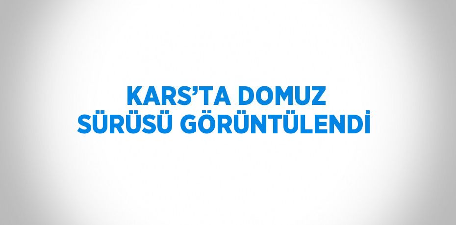 KARS’TA DOMUZ SÜRÜSÜ GÖRÜNTÜLENDİ