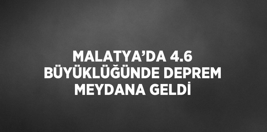 MALATYA’DA 4.6 BÜYÜKLÜĞÜNDE DEPREM MEYDANA GELDİ