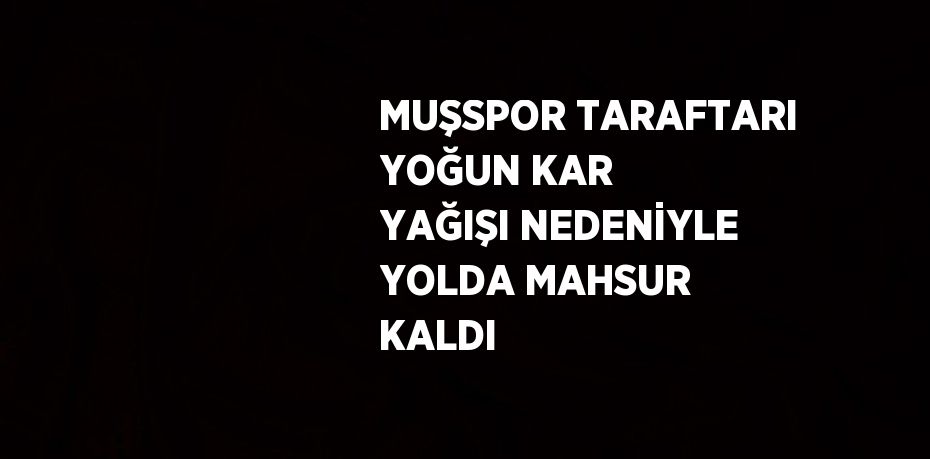 MUŞSPOR TARAFTARI YOĞUN KAR YAĞIŞI NEDENİYLE YOLDA MAHSUR KALDI