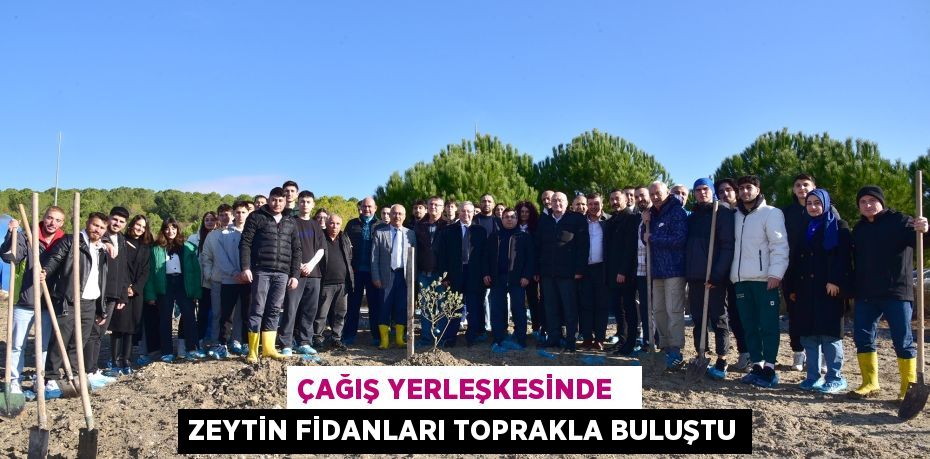 ÇAĞIŞ YERLEŞKESİNDE   ZEYTİN FİDANLARI TOPRAKLA BULUŞTU