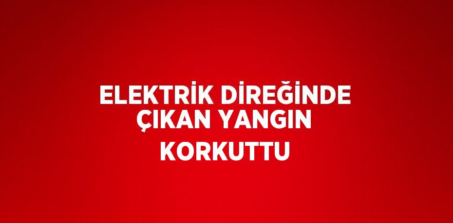 ELEKTRİK DİREĞİNDE ÇIKAN YANGIN KORKUTTU