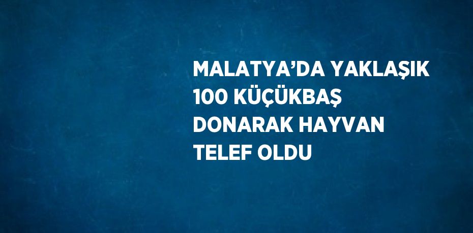 MALATYA’DA YAKLAŞIK 100 KÜÇÜKBAŞ DONARAK HAYVAN TELEF OLDU