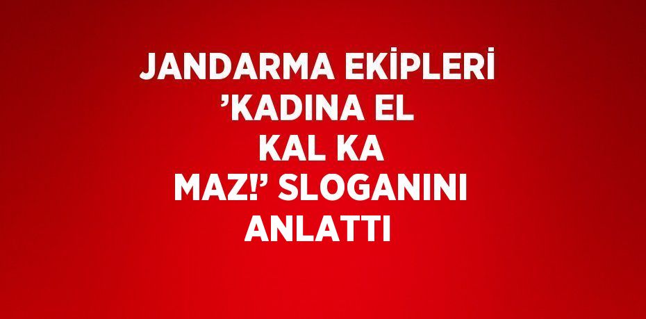 JANDARMA EKİPLERİ ’KADINA EL KAL KA MAZ!’ SLOGANINI ANLATTI