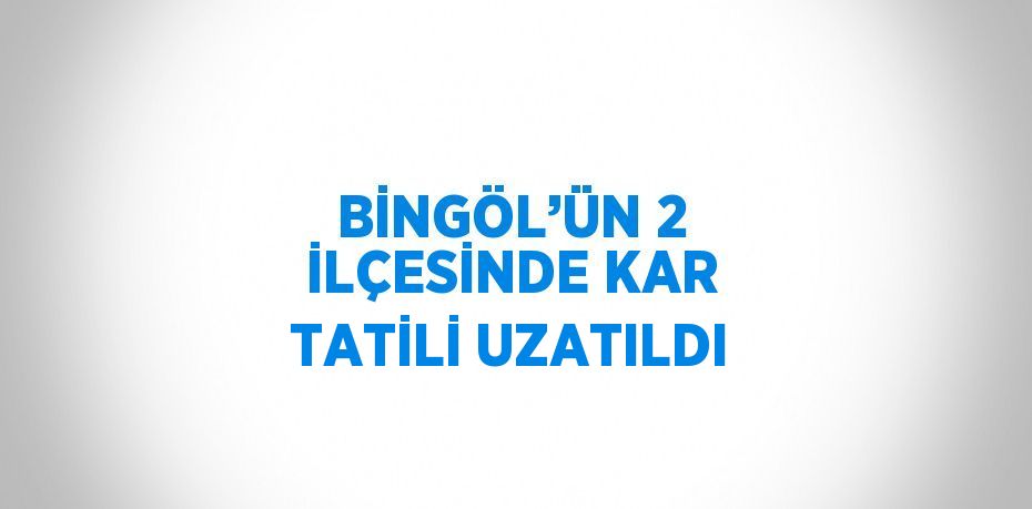 BİNGÖL’ÜN 2 İLÇESİNDE KAR TATİLİ UZATILDI