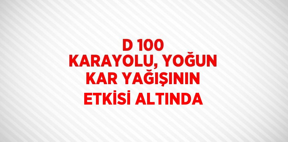 D 100 KARAYOLU, YOĞUN KAR YAĞIŞININ ETKİSİ ALTINDA