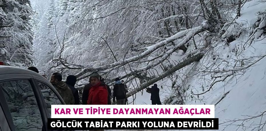 KAR VE TİPİYE DAYANMAYAN AĞAÇLAR GÖLCÜK TABİAT PARKI YOLUNA DEVRİLDİ