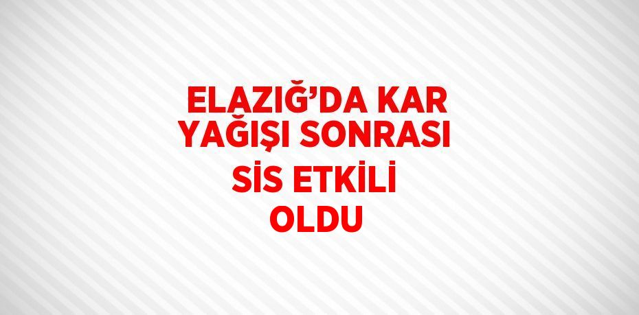 ELAZIĞ’DA KAR YAĞIŞI SONRASI SİS ETKİLİ OLDU