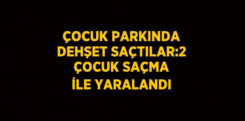 ÇOCUK PARKINDA DEHŞET SAÇTILAR:2 ÇOCUK SAÇMA İLE YARALANDI