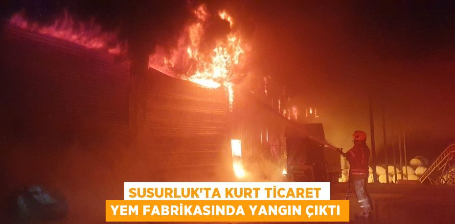 SUSURLUK’TA KURT TİCARET YEM FABRİKASINDA YANGIN ÇIKTI