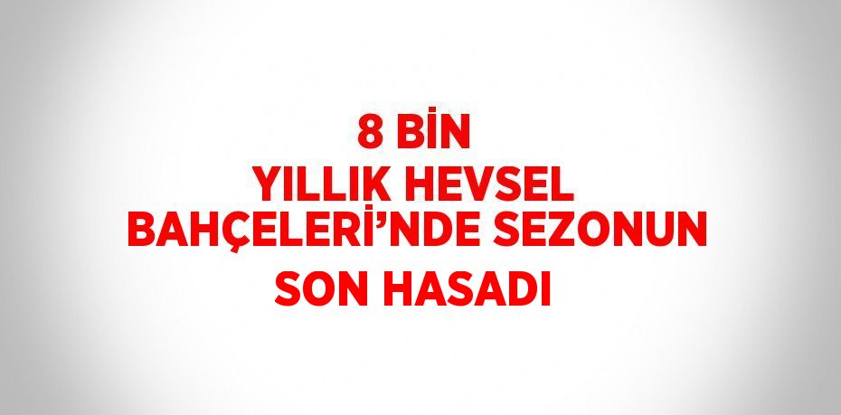 8 BİN YILLIK HEVSEL BAHÇELERİ’NDE SEZONUN SON HASADI