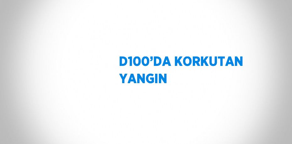 D100’DA KORKUTAN YANGIN