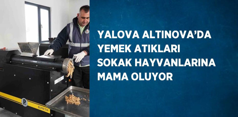 YALOVA ALTINOVA’DA YEMEK ATIKLARI SOKAK HAYVANLARINA MAMA OLUYOR