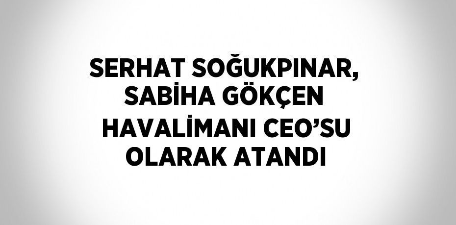 SERHAT SOĞUKPINAR, SABİHA GÖKÇEN HAVALİMANI CEO’SU OLARAK ATANDI