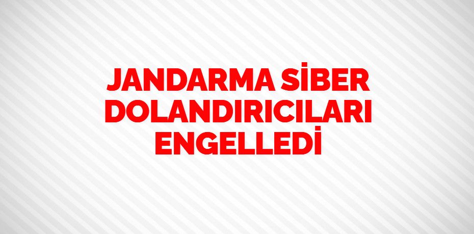 JANDARMA SİBER  DOLANDIRICILARI ENGELLEDİ