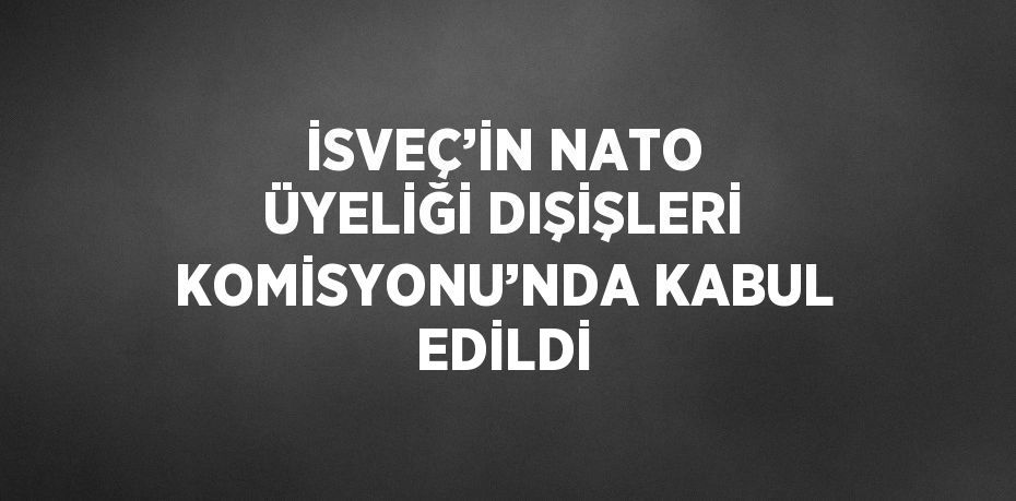 İSVEÇ’İN NATO ÜYELİĞİ DIŞİŞLERİ KOMİSYONU’NDA KABUL EDİLDİ