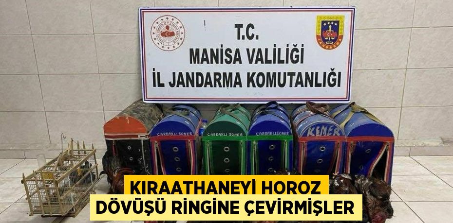 KIRAATHANEYİ HOROZ DÖVÜŞÜ RİNGİNE ÇEVİRMİŞLER