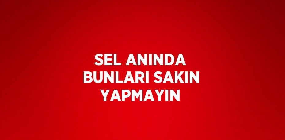 SEL ANINDA BUNLARI SAKIN YAPMAYIN