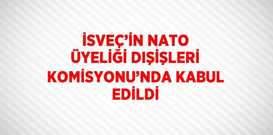 İSVEÇ’İN NATO ÜYELİĞİ DIŞİŞLERİ KOMİSYONU’NDA KABUL EDİLDİ