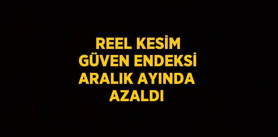 REEL KESİM GÜVEN ENDEKSİ ARALIK AYINDA AZALDI