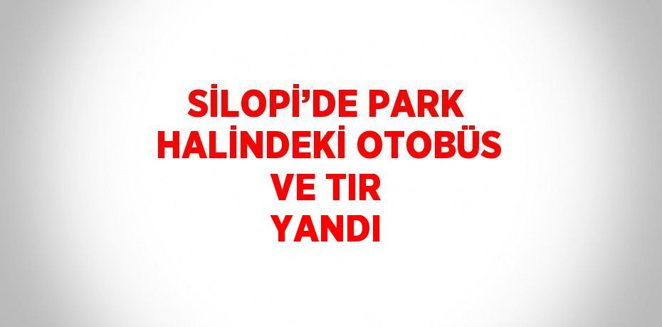 SİLOPİ’DE PARK HALİNDEKİ OTOBÜS VE TIR YANDI