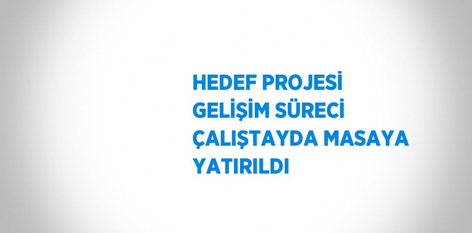 HEDEF PROJESİ GELİŞİM SÜRECİ ÇALIŞTAYDA MASAYA YATIRILDI