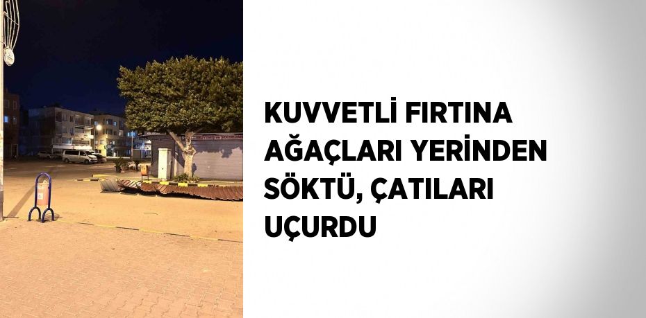 KUVVETLİ FIRTINA AĞAÇLARI YERİNDEN SÖKTÜ, ÇATILARI UÇURDU