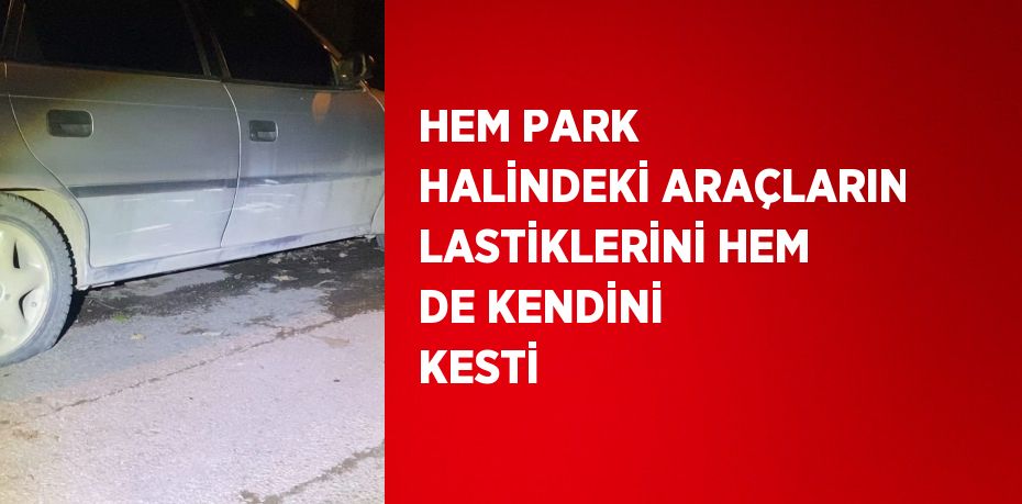 HEM PARK HALİNDEKİ ARAÇLARIN LASTİKLERİNİ HEM DE KENDİNİ KESTİ