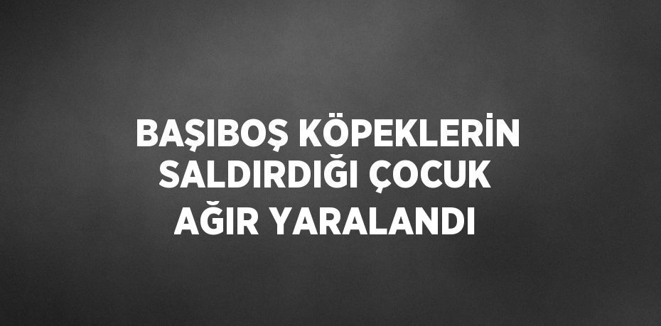 BAŞIBOŞ KÖPEKLERİN SALDIRDIĞI ÇOCUK AĞIR YARALANDI