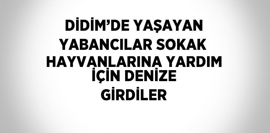 DİDİM’DE YAŞAYAN YABANCILAR SOKAK HAYVANLARINA YARDIM İÇİN DENİZE GİRDİLER