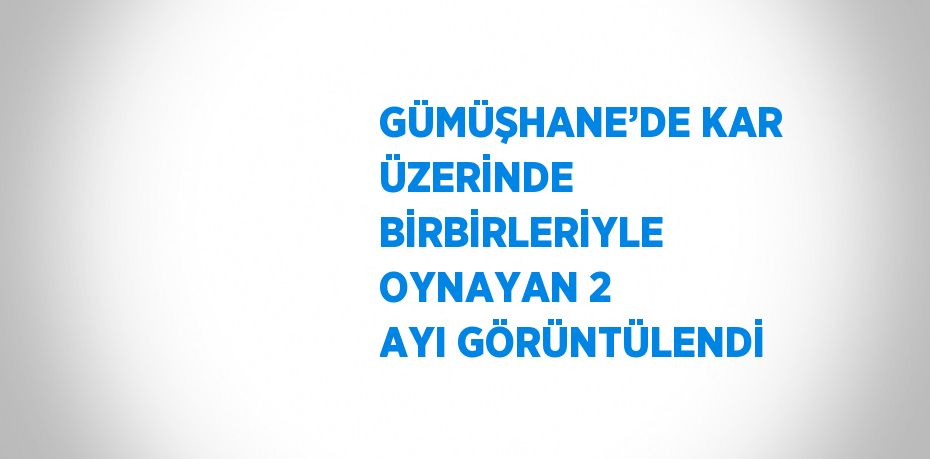 GÜMÜŞHANE’DE KAR ÜZERİNDE BİRBİRLERİYLE OYNAYAN 2 AYI GÖRÜNTÜLENDİ