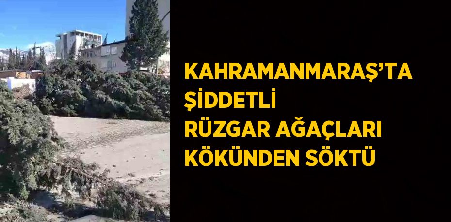 KAHRAMANMARAŞ’TA ŞİDDETLİ RÜZGAR AĞAÇLARI KÖKÜNDEN SÖKTÜ