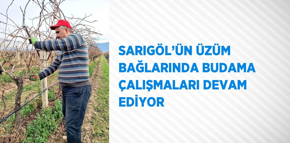 SARIGÖL’ÜN ÜZÜM BAĞLARINDA BUDAMA ÇALIŞMALARI DEVAM EDİYOR