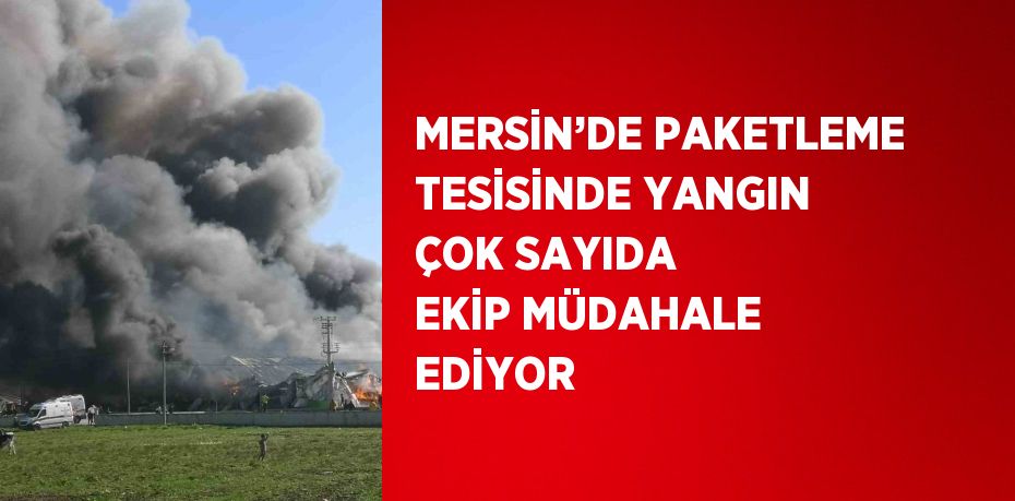 MERSİN’DE PAKETLEME TESİSİNDE YANGIN ÇOK SAYIDA EKİP MÜDAHALE EDİYOR