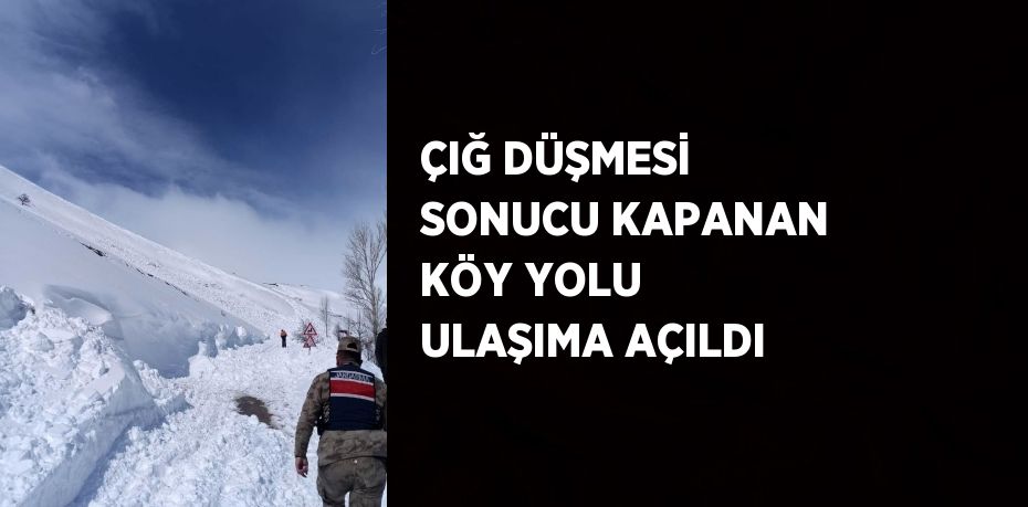 ÇIĞ DÜŞMESİ SONUCU KAPANAN KÖY YOLU ULAŞIMA AÇILDI