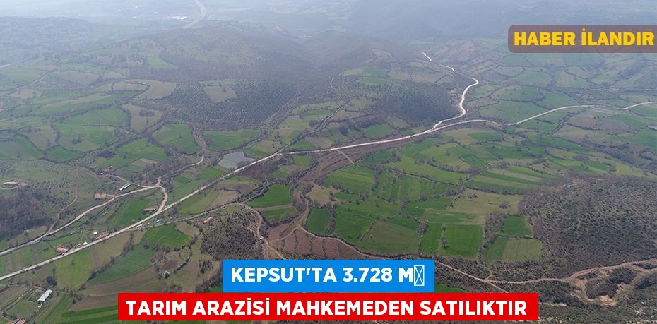 Kepsut'ta 3.728 m² tarım arazisi mahkemeden satılıktır