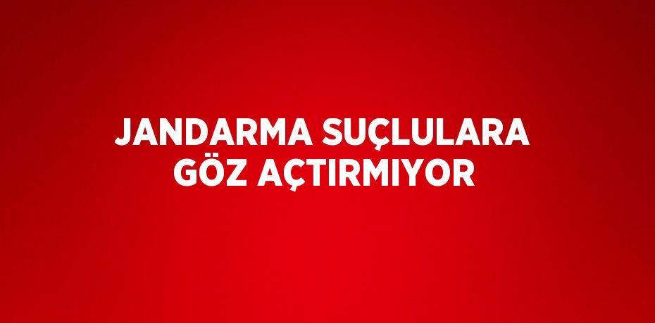 JANDARMA SUÇLULARA GÖZ AÇTIRMIYOR