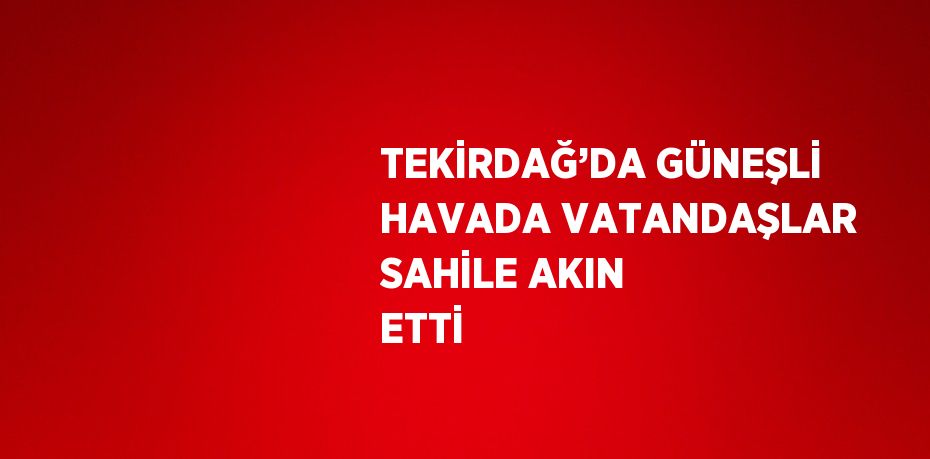 TEKİRDAĞ’DA GÜNEŞLİ HAVADA VATANDAŞLAR SAHİLE AKIN ETTİ