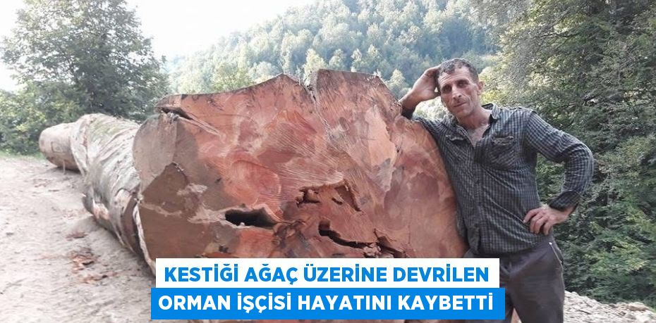 KESTİĞİ AĞAÇ ÜZERİNE DEVRİLEN ORMAN İŞÇİSİ HAYATINI KAYBETTİ