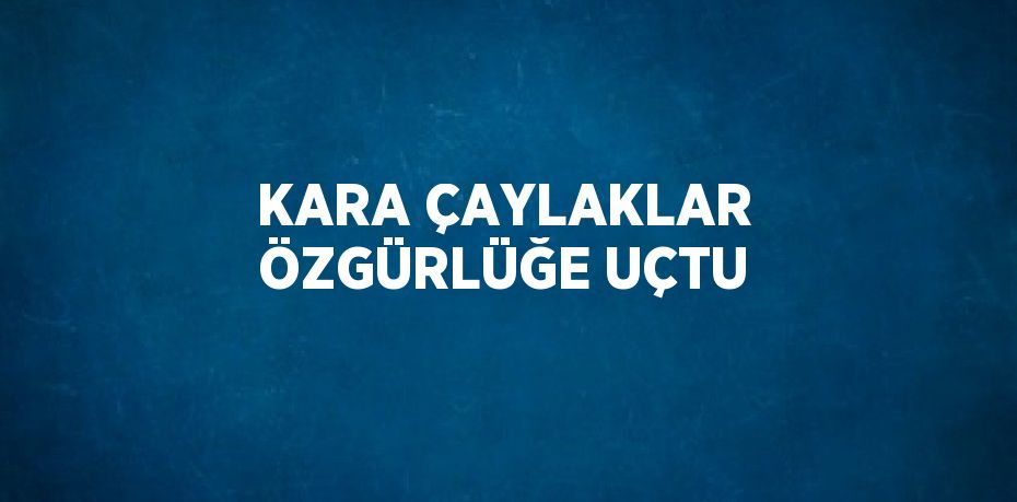 KARA ÇAYLAKLAR ÖZGÜRLÜĞE UÇTU