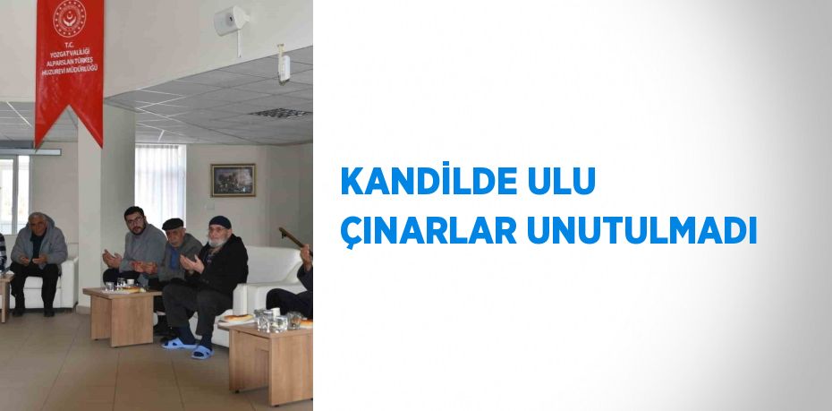 KANDİLDE ULU ÇINARLAR UNUTULMADI