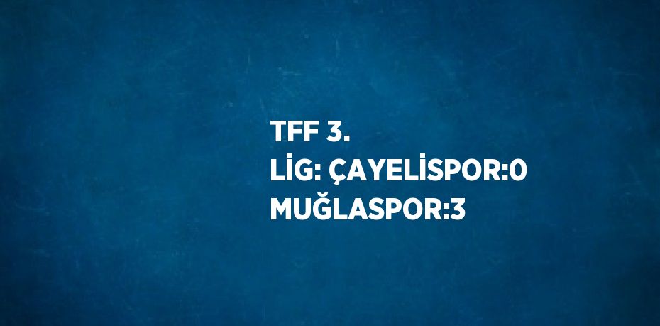 TFF 3. LİG: ÇAYELİSPOR:0 MUĞLASPOR:3