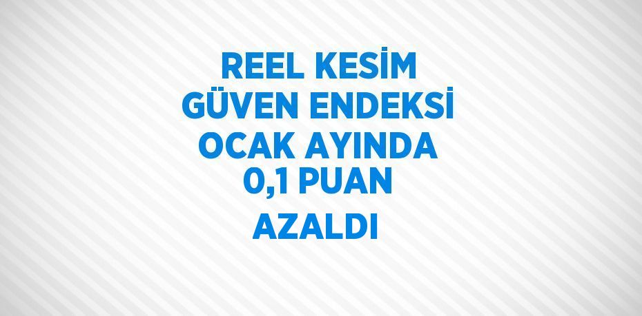 REEL KESİM GÜVEN ENDEKSİ OCAK AYINDA 0,1 PUAN AZALDI