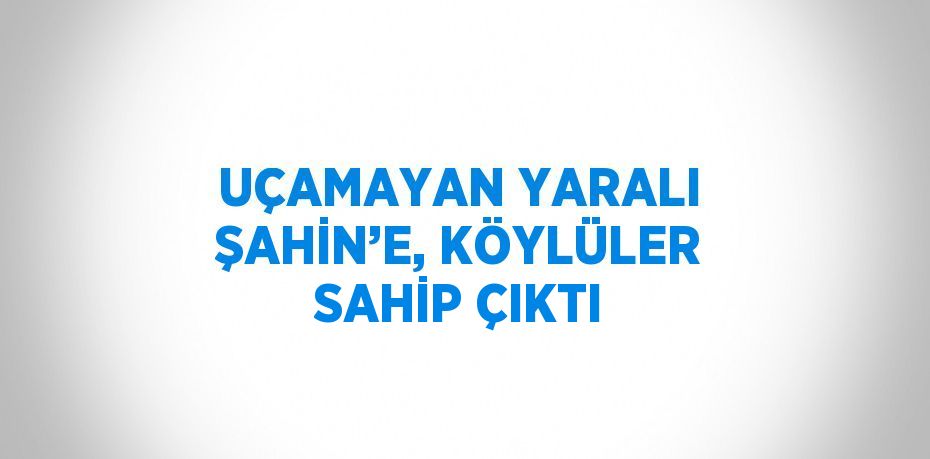 UÇAMAYAN YARALI ŞAHİN’E, KÖYLÜLER SAHİP ÇIKTI
