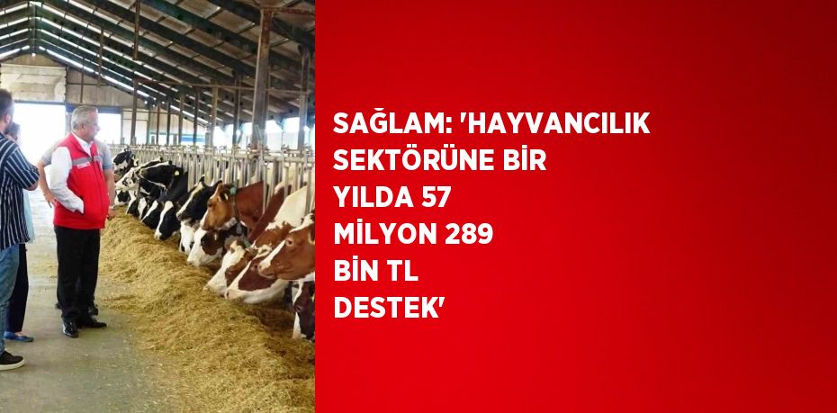 SAĞLAM: 'HAYVANCILIK SEKTÖRÜNE BİR YILDA 57 MİLYON 289 BİN TL DESTEK'