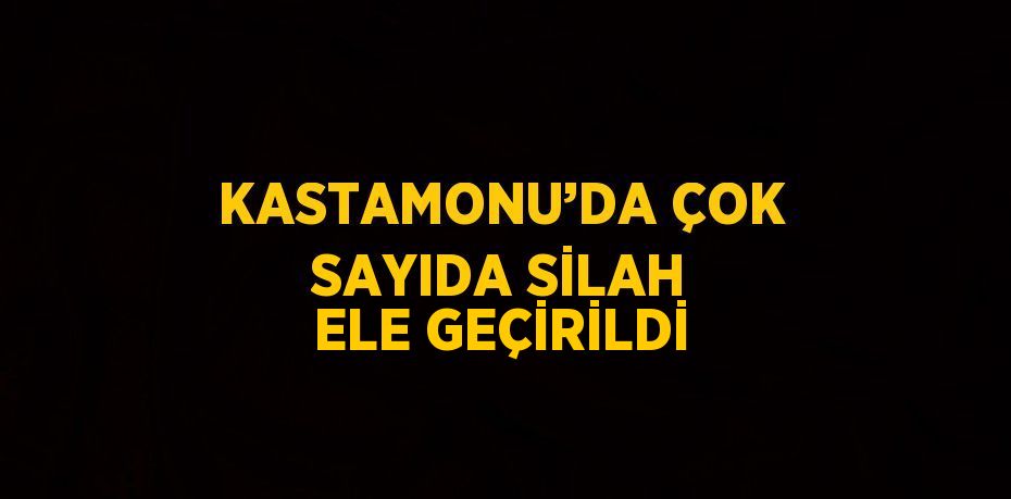 KASTAMONU’DA ÇOK SAYIDA SİLAH ELE GEÇİRİLDİ