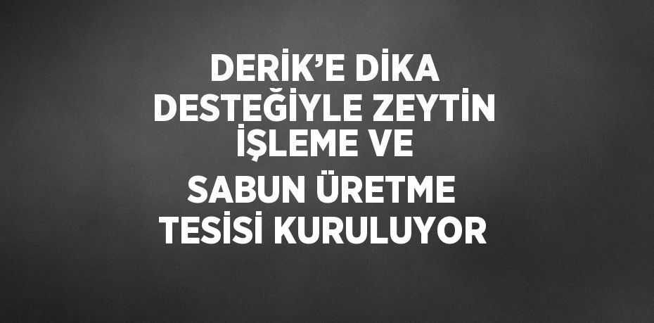 DERİK’E DİKA DESTEĞİYLE ZEYTİN İŞLEME VE SABUN ÜRETME TESİSİ KURULUYOR