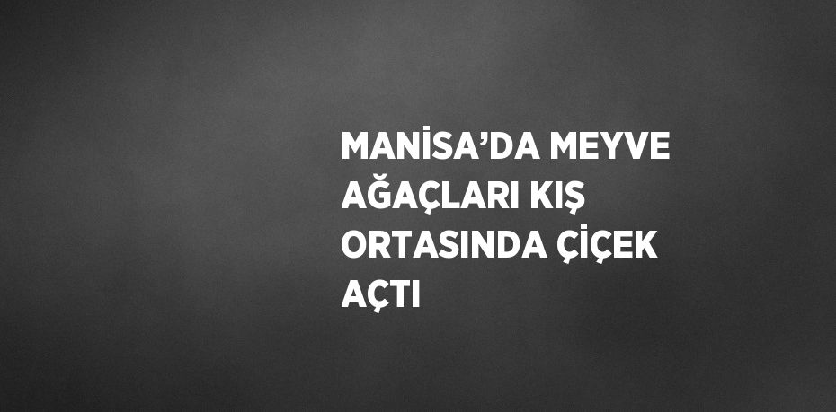 MANİSA’DA MEYVE AĞAÇLARI KIŞ ORTASINDA ÇİÇEK AÇTI