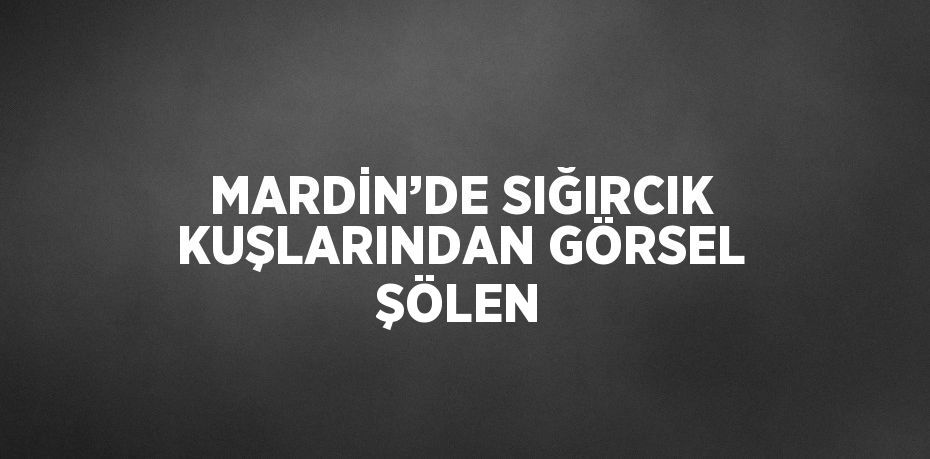 MARDİN’DE SIĞIRCIK KUŞLARINDAN GÖRSEL ŞÖLEN